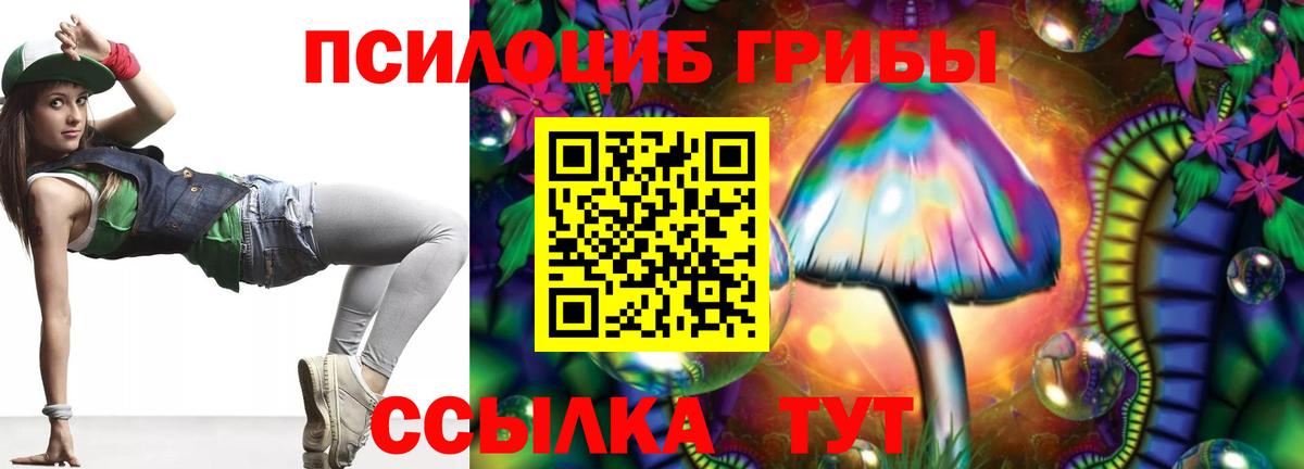 Раменское  где найти   Вход с VPN  Галлюциногенные грибы Magic Shrooms 
